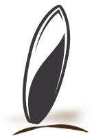 Skatinger - Boyutunu seç 14'0''