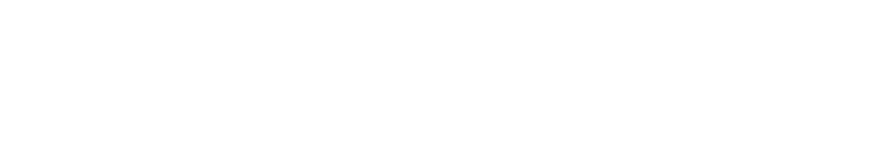 Skatinger